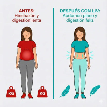 FIBRA DETOX LIV